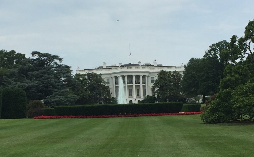 Reflections on a Trump&nbsp;Presidency