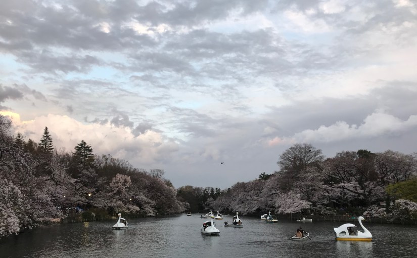 Life in Japan: Year&nbsp;One